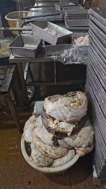 生鲜精品圆刀牛百叶屠宰场直销品质保证质量