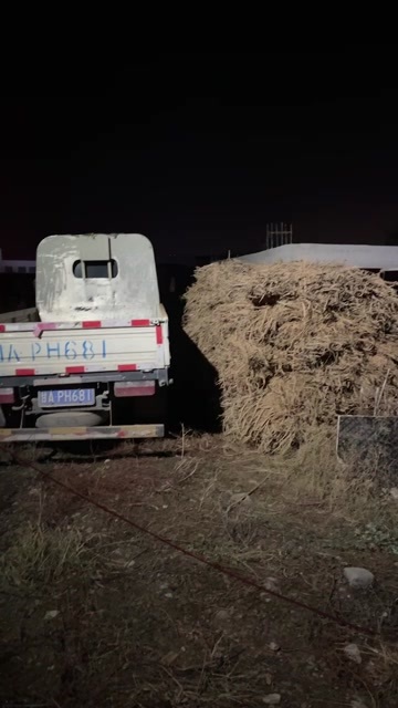 岷县岷县道地岷当归中药材产地直发定西优质滋补药材，原产地直发