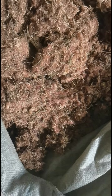 绽放中的中药瑰宝合欢花美丽形态,在中药领域的珍贵价值。