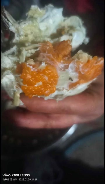 寿光市常年批发螃蟹梭子蟹