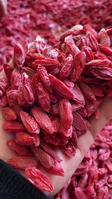 红枸杞  大中小规格齐全 产地直销 不做任何添加不打钠