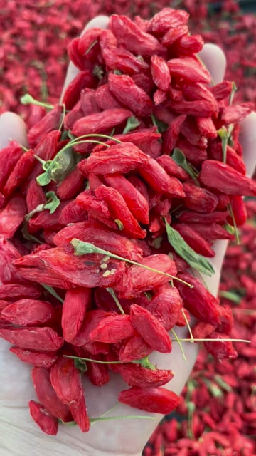 红枸杞  大中小规格齐全 产地直销 不做任何添加不打钠