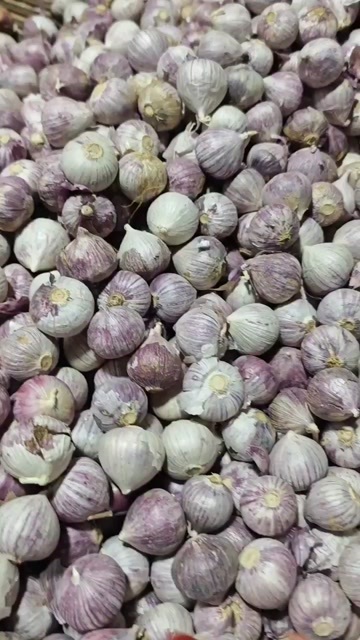 成都云南独头蒜，大小都有，全干货