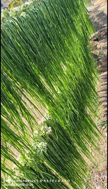 通海县质量好价格优