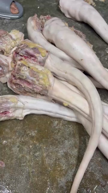 汕头新鲜牛尾巴