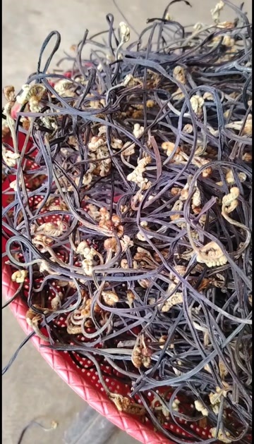 丘北县云南丘北蕨菜干 甄选优质原料 纯手工制作 自然晾晒可追溯源头