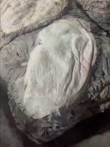 兰州盐干牛百叶。A+以上的质量。大量有货，可以长期，有手续。