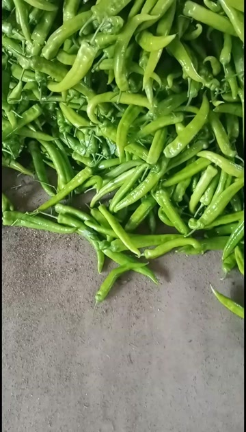 临邑县蔬菜