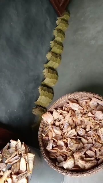 湖南衡阳新鲜竹笋生态种植源头供应现挖现发