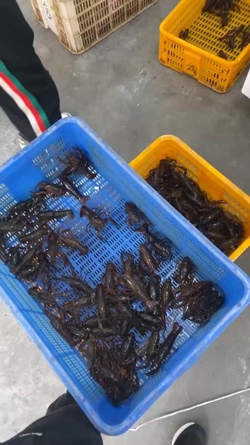 汉川市小龙虾