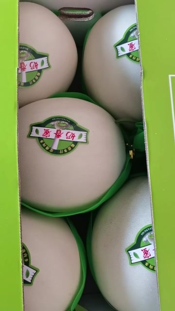 滑县玉菇甜瓜 河南省安阳市滑县 地头通货