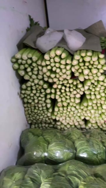 邯郸精品细颗芹菜