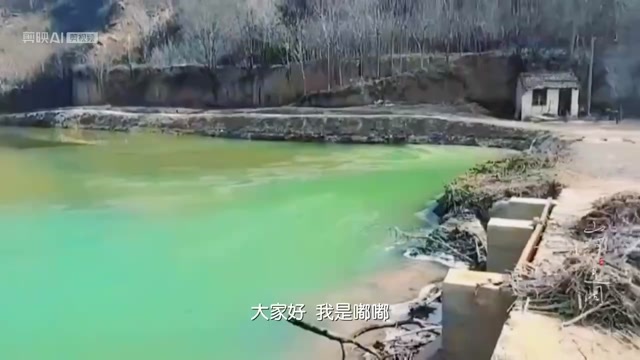 武功县武功现有垂钓园，鱼塘对外出租，长100米，宽30米，流水塘子
