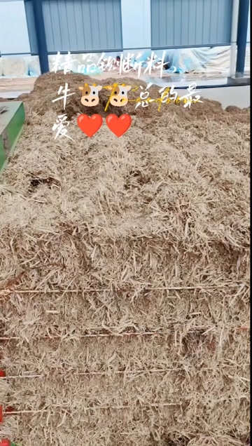 养殖场牛羊牧草