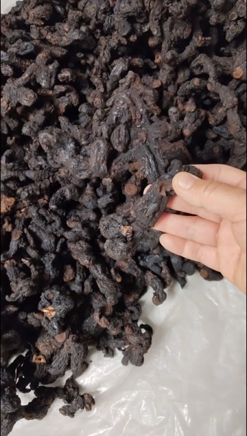 英德市九蒸九晒的黄精(干身，中大个，大量批发)