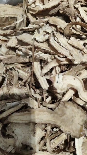 亳州精品当归批发零售质量保证假一赔十