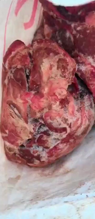 牛肉 整牛16一斤 纯干