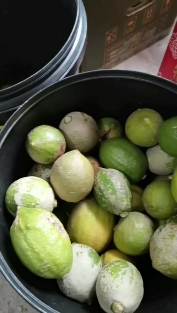 深圳广东香水柠檬，一二级果里面挑出来的次果，包邮价省内