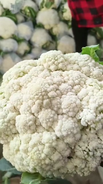 郯城县青梗花菜