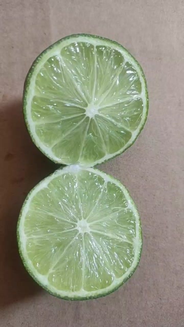 南靖县青柠檬无籽一级青果(现采现发无泡保鲜)皮薄 多汁酸爽全年批发