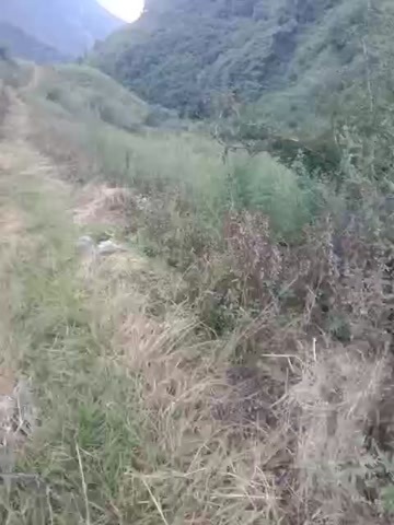 山地出租