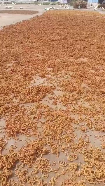 东兴市产新的桂丝