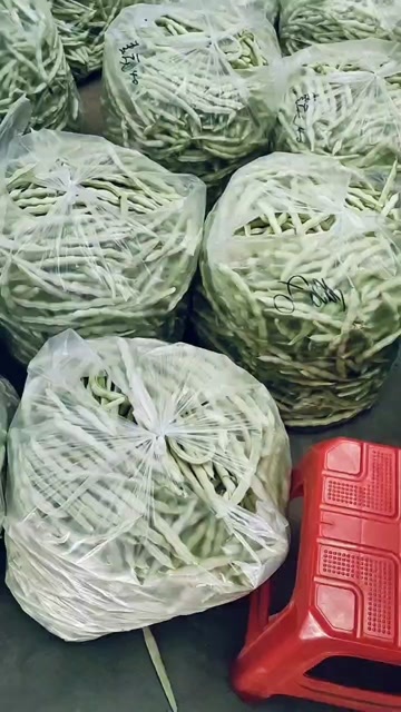 高密市芸豆