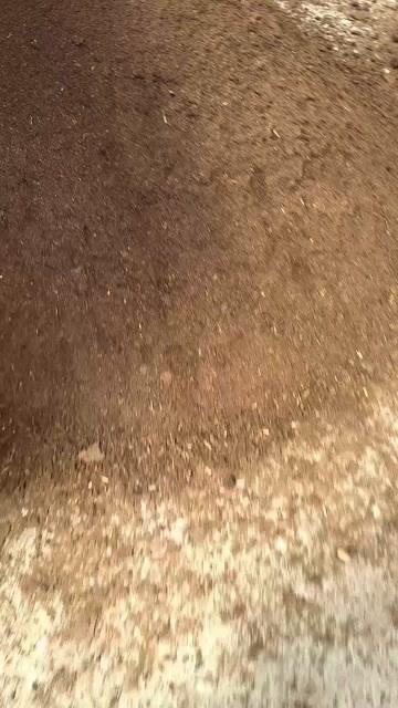 合水县农家肥发酵羊粪