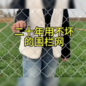 饶阳县勾花网，边坡防护网