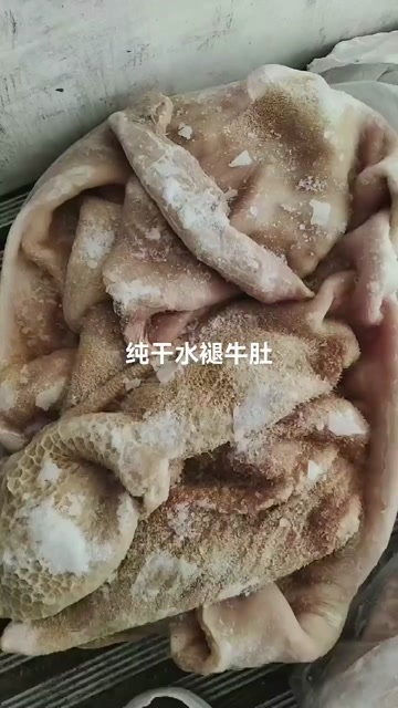 庆云县纯干水褪牛肚