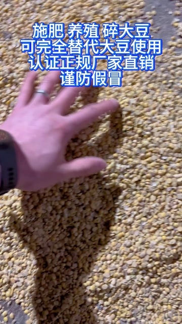 碎大豆可养殖可施肥常年大量现货可替代好大豆使用