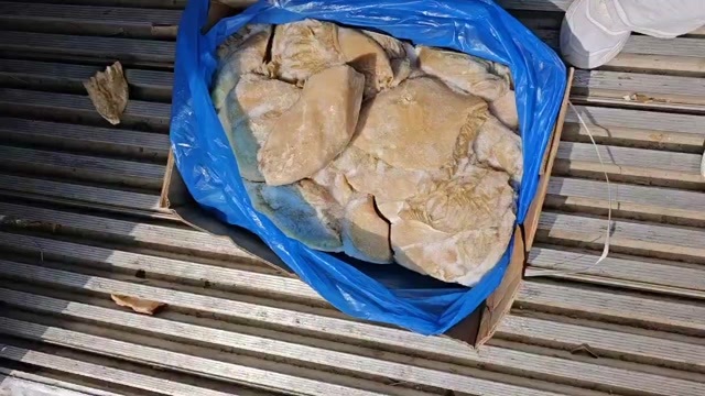 阳信县山东阳信新鲜牛百叶 牛副产品批发 食品经营许可证商家直销