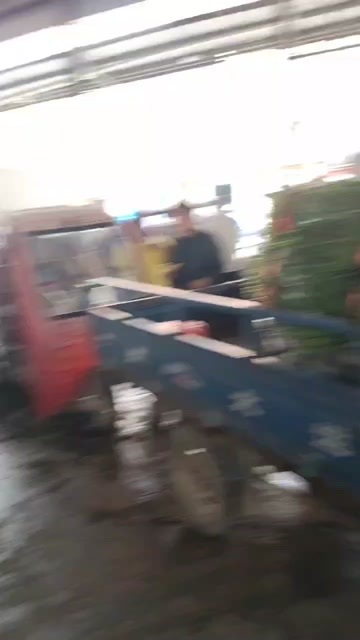 广州小叶韭菜