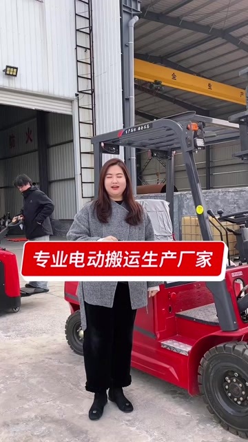 嘉祥县载重2.5吨升高4.5米电动叉车