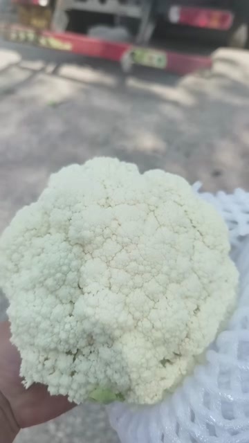 陆良县云南花菜