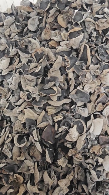 高品质无增重 高泡发率黑木耳原货 东北秋木耳餐饮电商商超碗耳