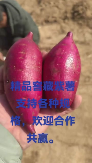 中牟县精品紫薯软糯香甜。