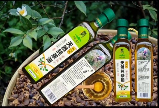 连南县天然纯茶油 山茶油 茶籽油 50瓶起批 包邮 吃油就吃放心油