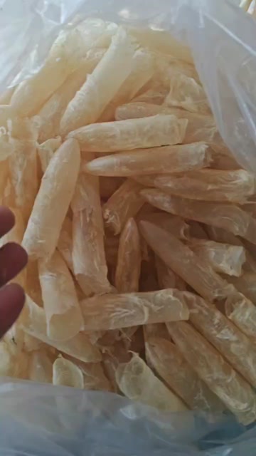 花胶鱼胶黄花胶黄花筒咸水筒鱼胶工厂直销