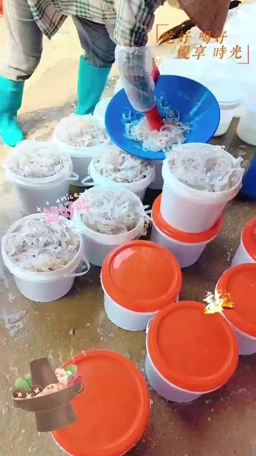海蜇丝