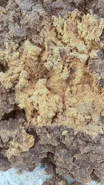 芜湖餐厨浆 饭渣