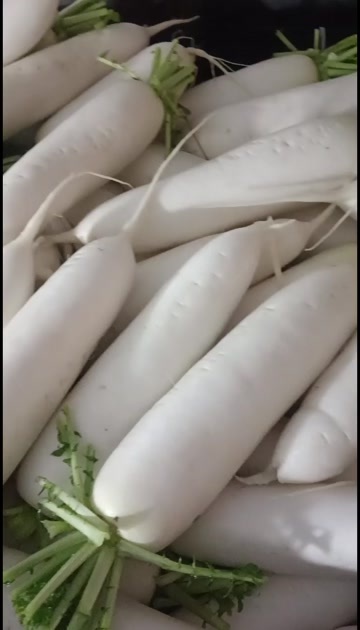 白萝卜