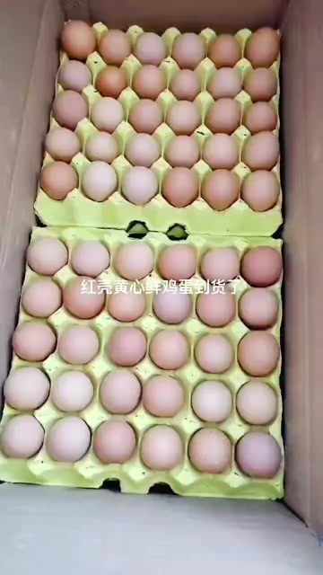 瑞安市鲜鸡蛋。 47斤–51斤净重都有