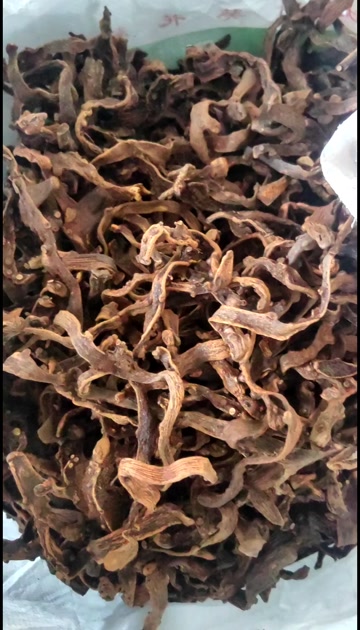 骨碎补，正品骨碎补中药材骨碎补粉干货