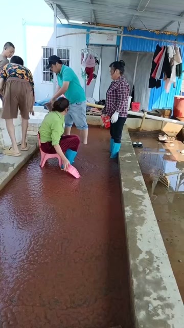 仙桃市红虫