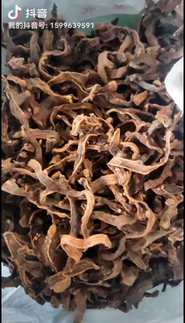 骨碎补，正品骨碎补中药材骨碎补粉干货