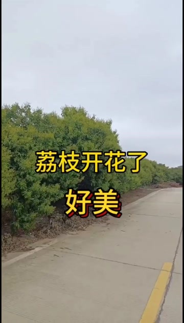 普宁市找靠谱收购商，能来当地收的，惠来鳌江镇附近