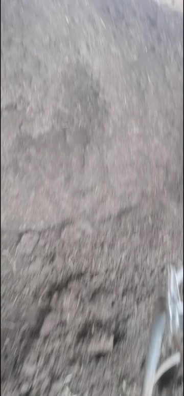 内江蚯蚓粪