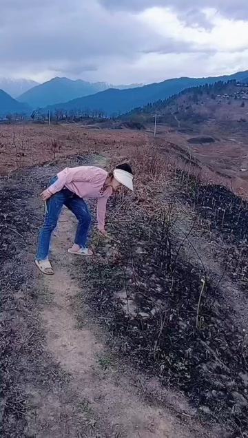 贡山县云南怒江贡山新鲜蕨菜生态野菜批发零售