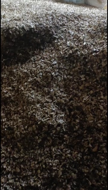 南宁花生壳